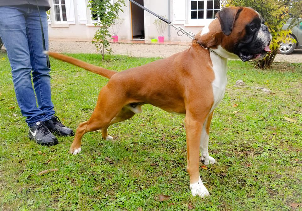 Onyx Du Faubourg d'Harlem